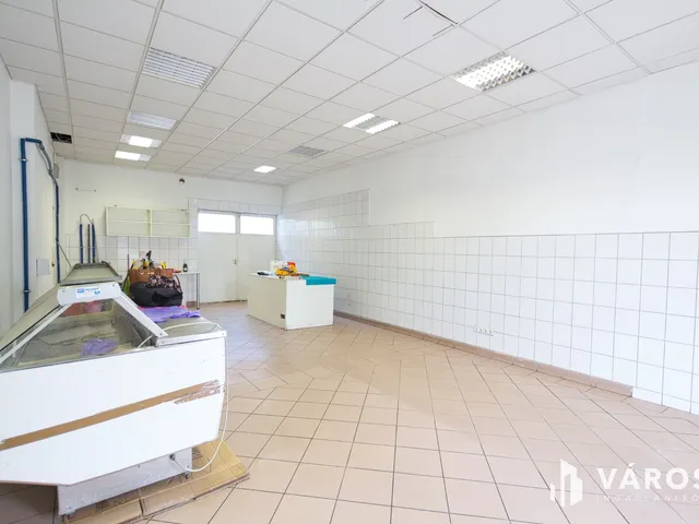 Kiadó kereskedelmi és ipari ingatlan Békéscsaba, Belváros 60 nm