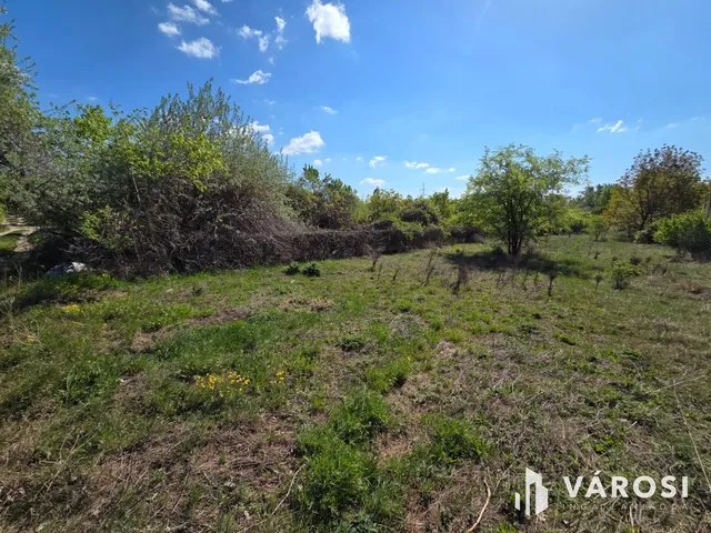 Eladó kereskedelmi és ipari ingatlan Szigetszentmiklós 8542 nm