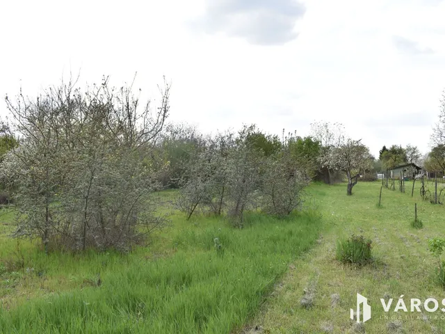 Eladó mezőgazdasági ingatlan Gyula, Ajtósfalva 1179 nm
