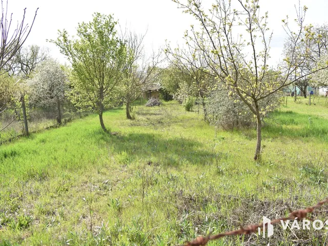 Eladó mezőgazdasági ingatlan Gyula, Ajtósfalva 1179 nm
