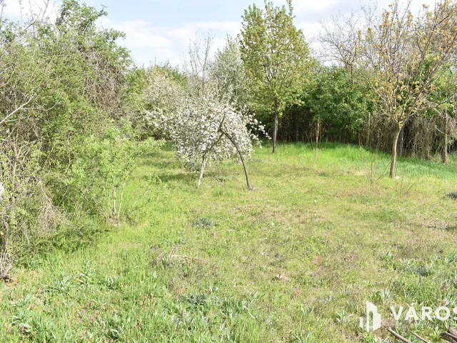 Eladó mezőgazdasági ingatlan Gyula, Ajtósfalva 1179 nm