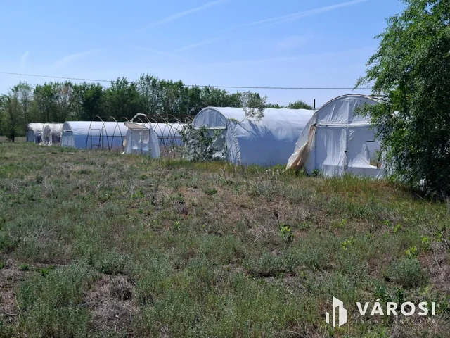 Eladó mezőgazdasági ingatlan Kiskunmajsa 20 nm