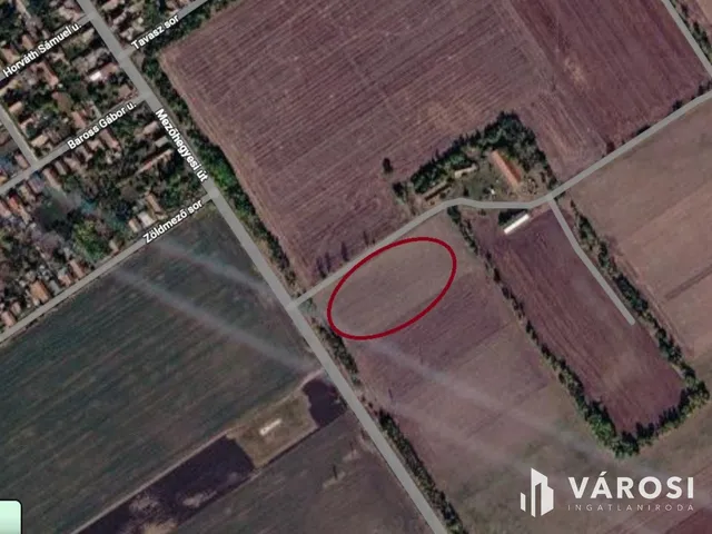 Eladó mezőgazdasági ingatlan Tótkomlós 63694 nm