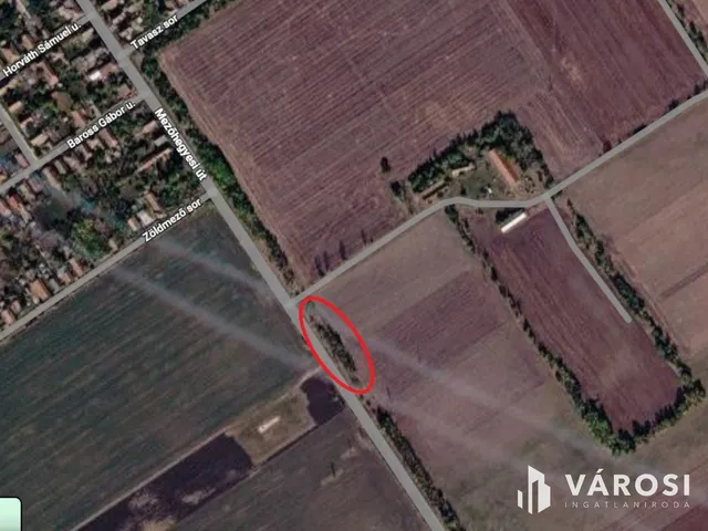 Eladó mezőgazdasági ingatlan Tótkomlós 877 nm