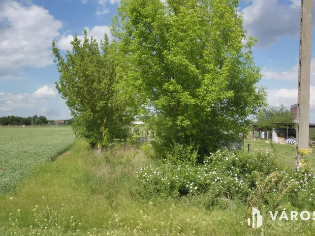 Eladó mezőgazdasági ingatlan Szeged, Szőreg 1255 nm
