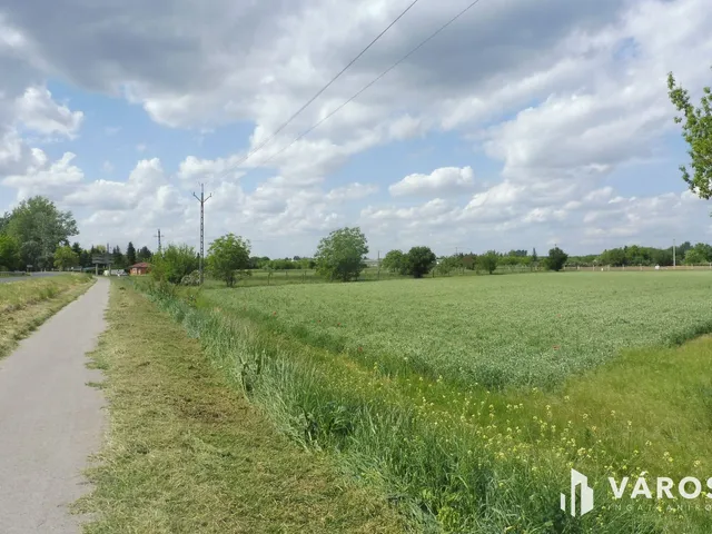 Eladó mezőgazdasági ingatlan Szeged, Szőreg 1255 nm