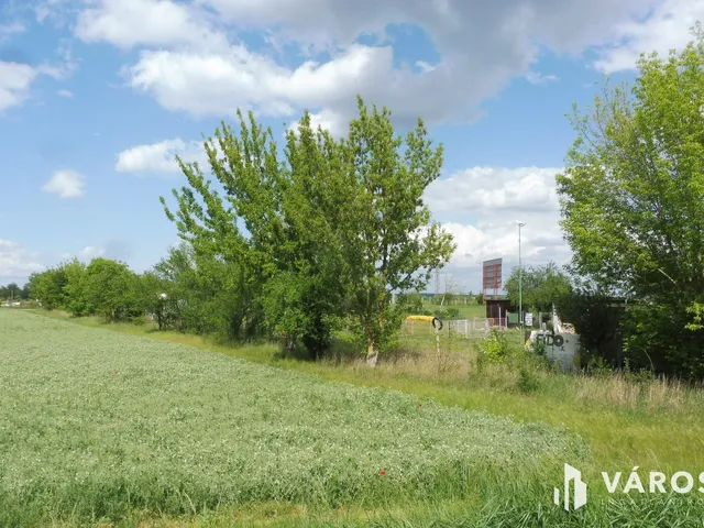 Eladó mezőgazdasági ingatlan Szeged, Szőreg 1255 nm