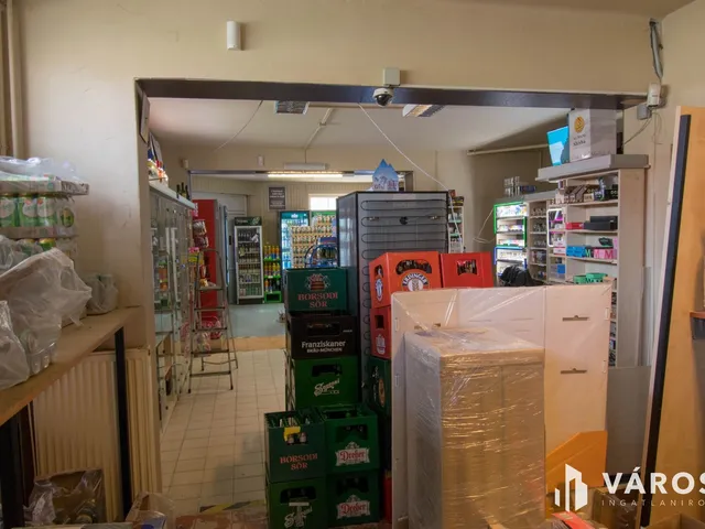 Eladó kereskedelmi és ipari ingatlan Kalocsa 113 nm
