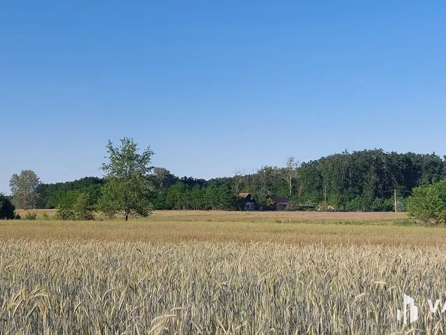 Eladó mezőgazdasági ingatlan Debrecen, Nagycsere 70 nm