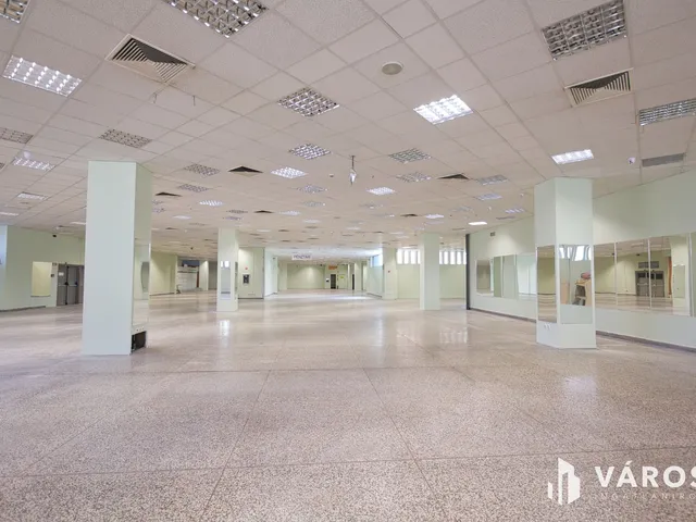 Eladó kereskedelmi és ipari ingatlan Békéscsaba, Belváros 5740 nm
