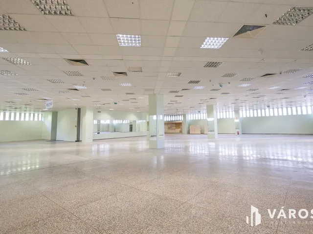 Eladó kereskedelmi és ipari ingatlan Békéscsaba, Belváros 5740 nm