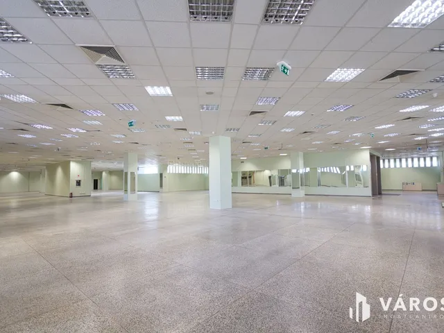 Eladó kereskedelmi és ipari ingatlan Békéscsaba, Belváros 5740 nm