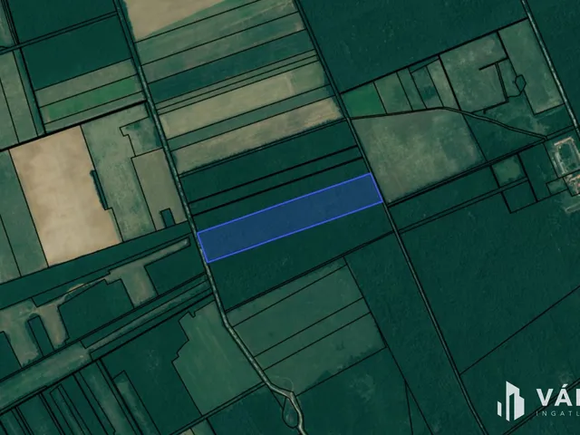 Eladó mezőgazdasági ingatlan Kemenesmagasi 57009 nm