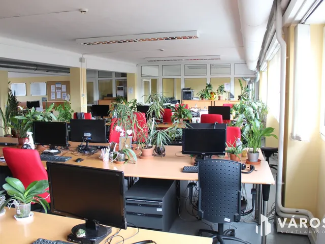 Eladó kereskedelmi és ipari ingatlan Miskolc, Zsolcai kapu 2461 nm
