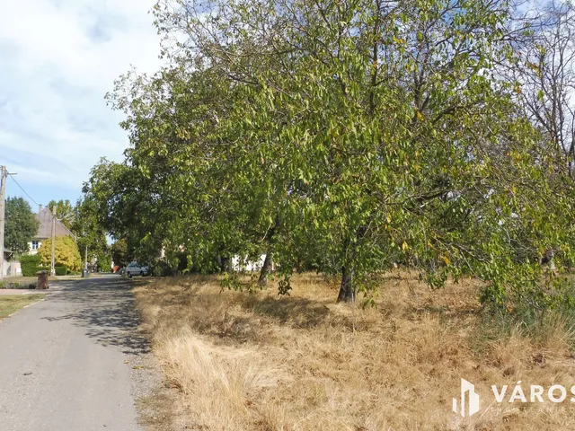 Eladó telek Deszk 700 nm
