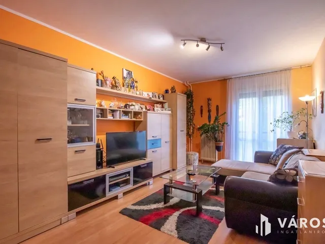 Eladó lakás Székesfehérvár, Szedreskert 45 nm