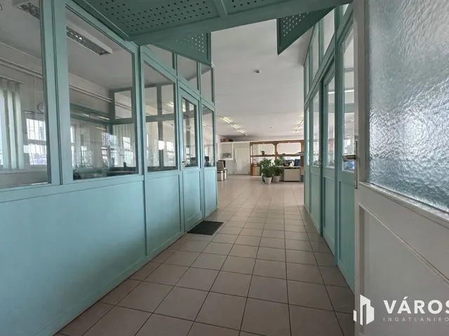 Eladó kereskedelmi és ipari ingatlan Debrecen, Lencztelep 1271 nm