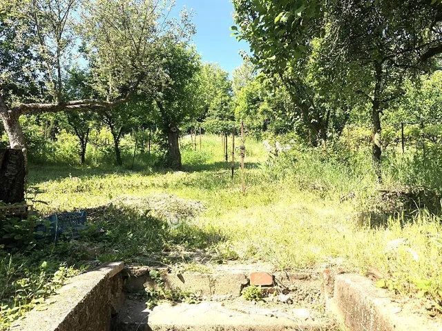 Eladó ház Budakalász 230 nm