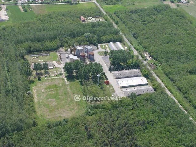 Eladó kereskedelmi és ipari ingatlan Dunavarsány 239108 nm