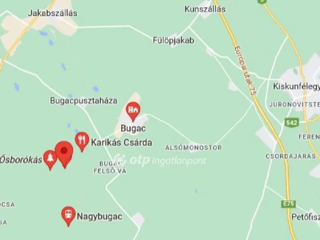 Eladó telek Móricgát 6000 nm