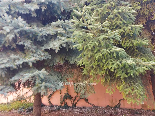 Eladó lakás Budapest XX. kerület 59 nm