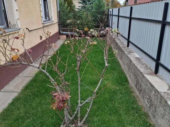 Eladó ház Monorierdő 60 nm