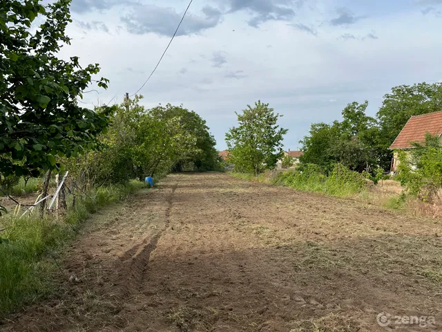 Eladó mezőgazdasági ingatlan Nagykőrös 2375 nm