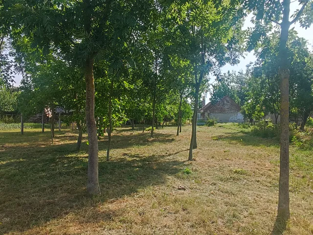 Eladó telek Vasasszonyfa 3244 nm