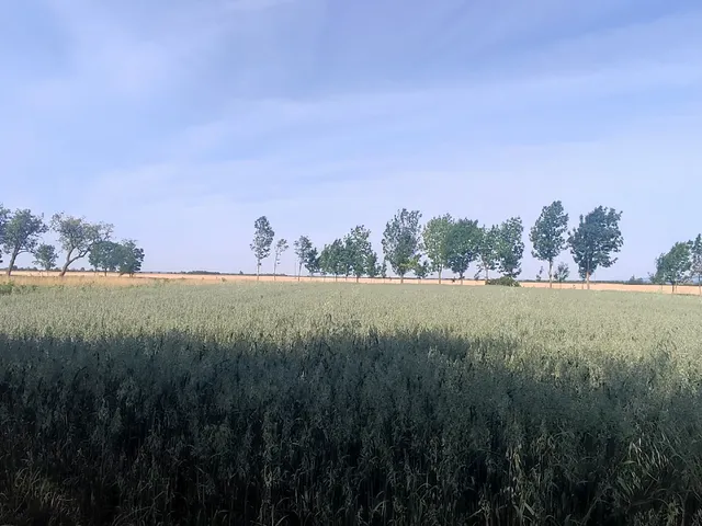 Eladó telek Vasasszonyfa 3244 nm