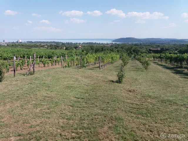 Eladó mezőgazdasági ingatlan Balatonfüred, Tamáshegy 3088 nm