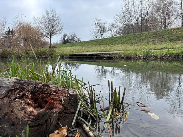 Eladó telek Gyula 20000 nm