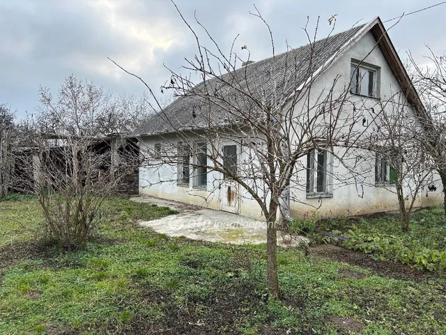 Eladó telek Gyula 20000 nm