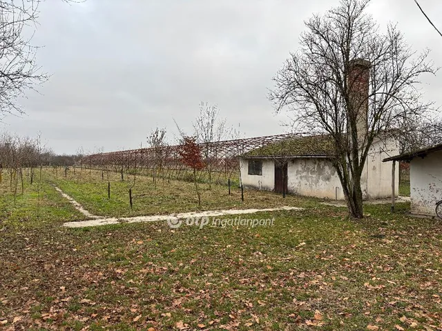 Eladó telek Gyula 20000 nm