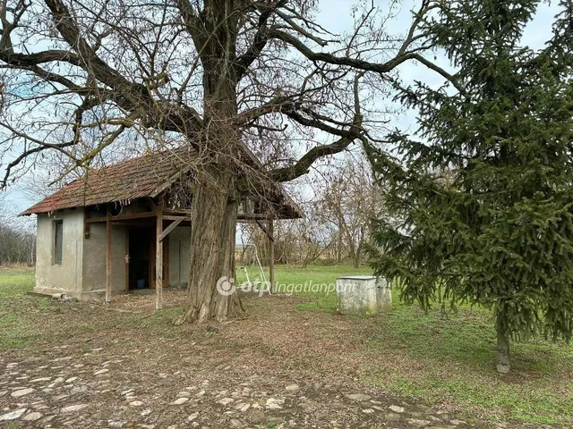 Eladó mezőgazdasági ingatlan Sarkad 40 nm