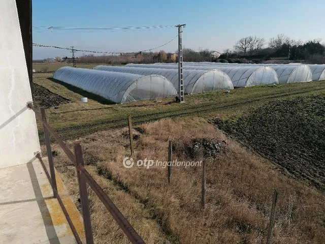 Eladó ház Tótkomlós 150 nm