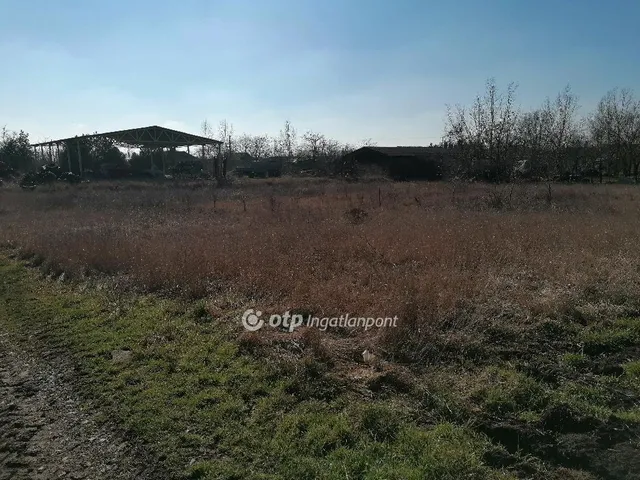 Eladó ház Tótkomlós 150 nm