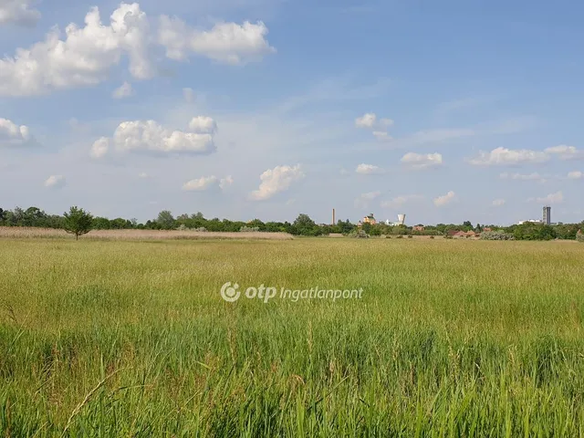 Eladó mezőgazdasági ingatlan Orosháza 49576 nm