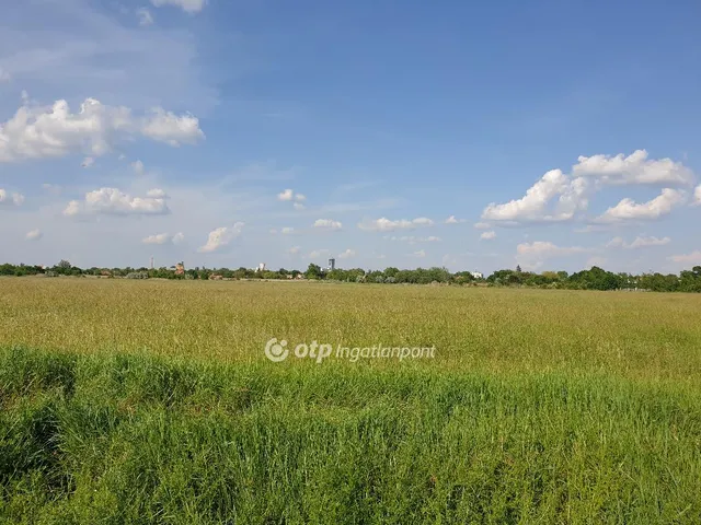 Eladó mezőgazdasági ingatlan Orosháza 49576 nm