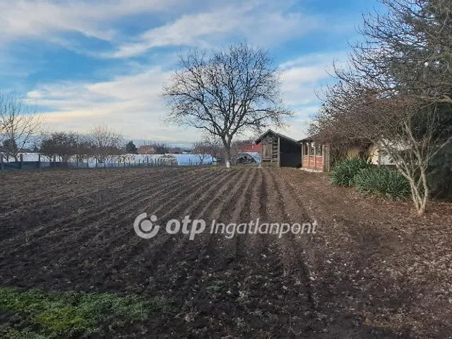 Eladó ház Medgyesegyháza 84 nm