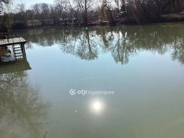 Eladó üdülő és hétvégi ház Gyomaendrőd 49 nm