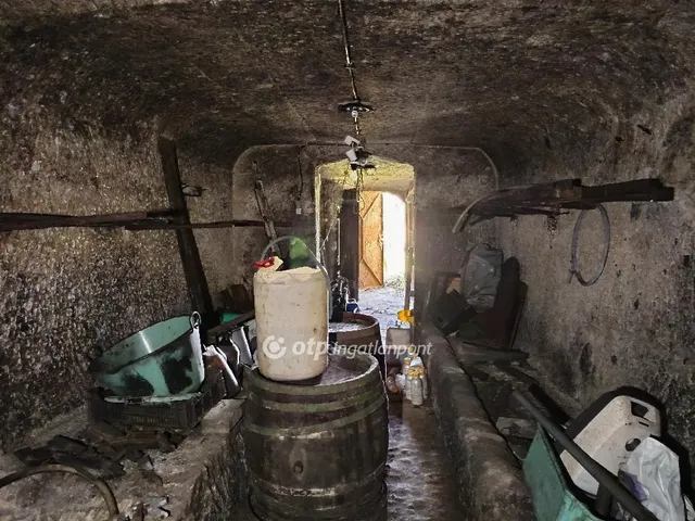 Eladó mezőgazdasági ingatlan Eger 50 nm