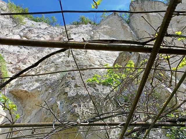 Eladó mezőgazdasági ingatlan Eger 50 nm