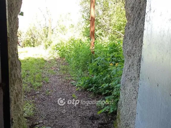 Eladó mezőgazdasági ingatlan Eger 50 nm