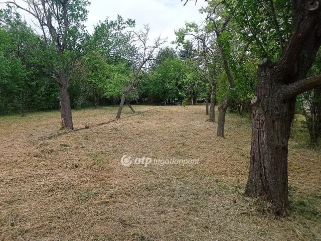 Eladó telek Békés 804 nm