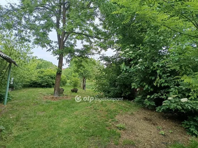 Eladó ház Elek 180 nm