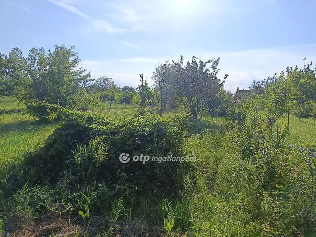 Eladó ház Sarkad 42 nm