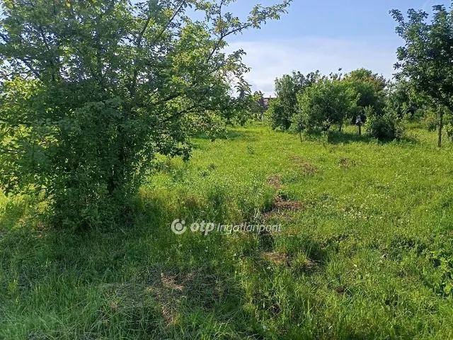 Eladó ház Sarkad 42 nm