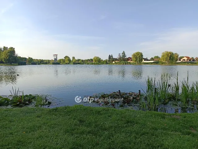 Eladó ház Sarkad 42 nm