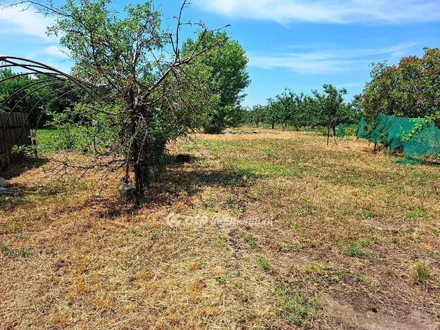 Eladó ház Békéscsaba 160 nm