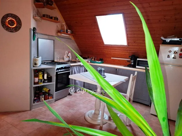Eladó ház Békéscsaba, Nagyrét 228 nm